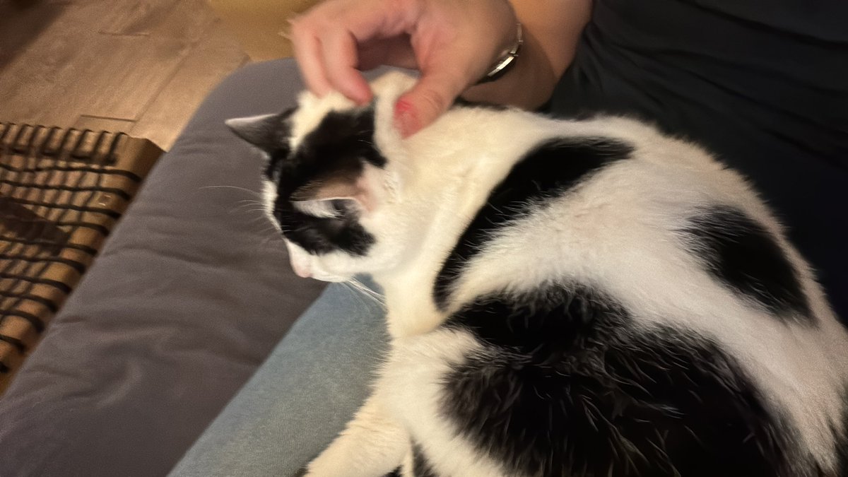 Nico 💉 tweet media