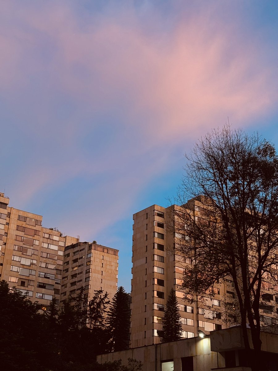 Laura ✨ tweet media