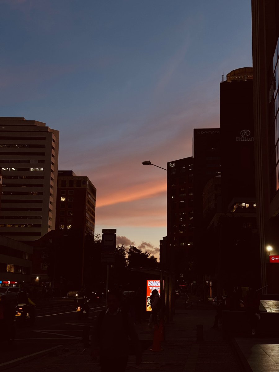 Laura ✨ tweet media