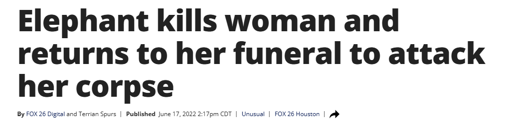 Chad Concelmo tweet media