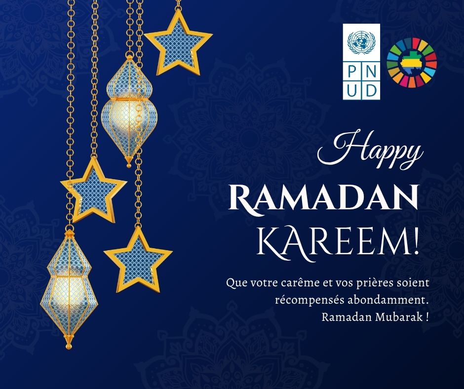 PNUD GABON tweet media