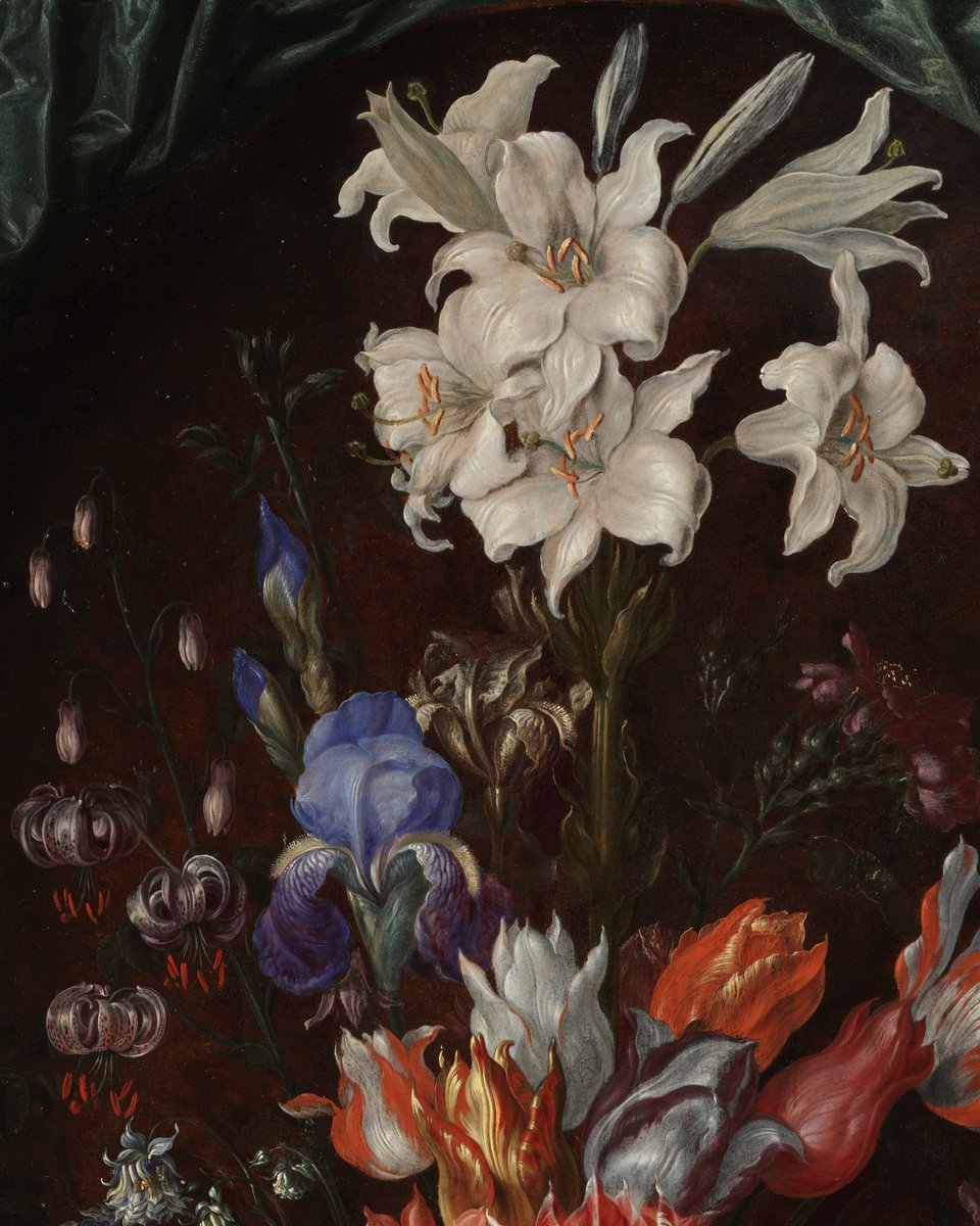 Kimbell Art Museum tweet media