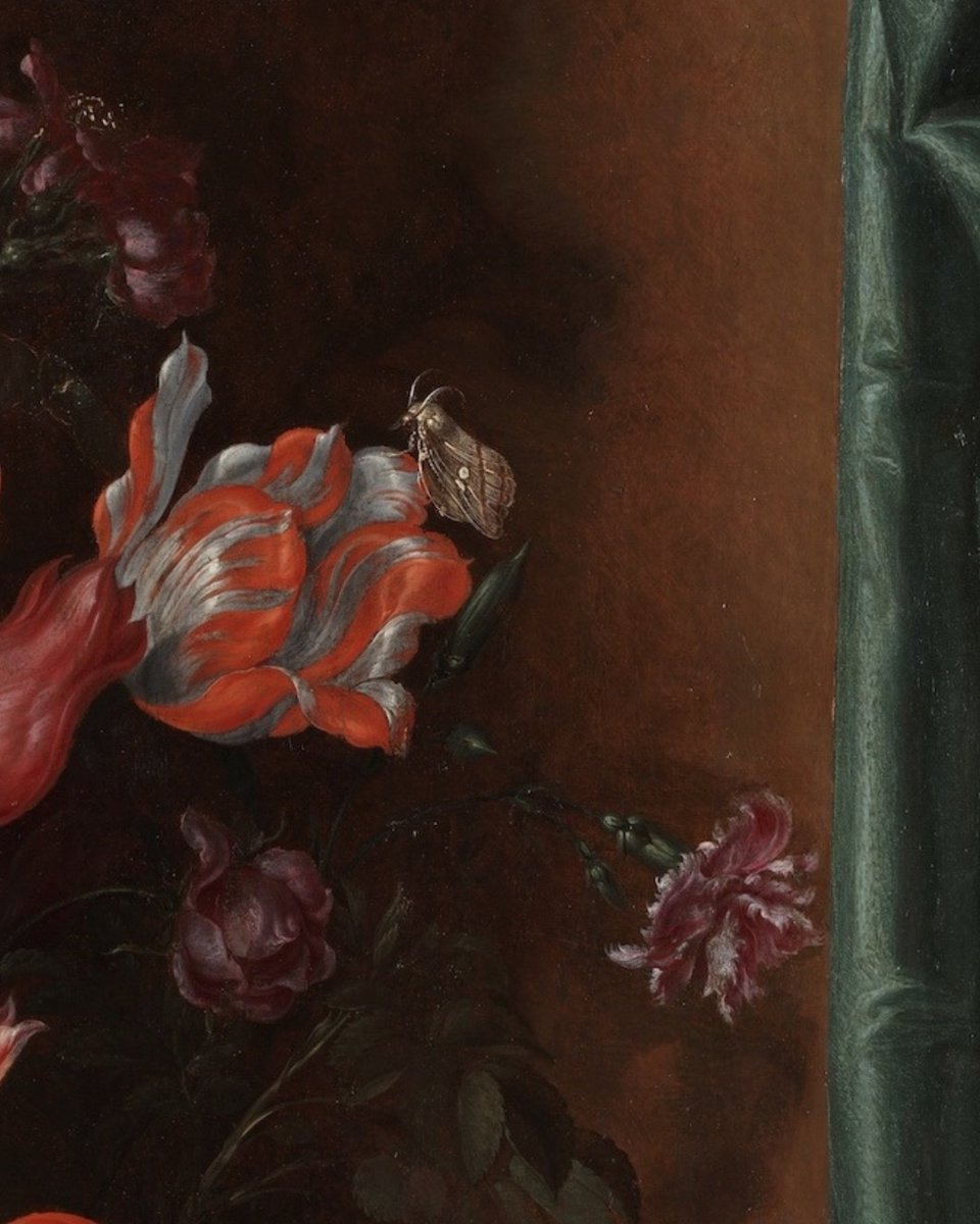 Kimbell Art Museum tweet media