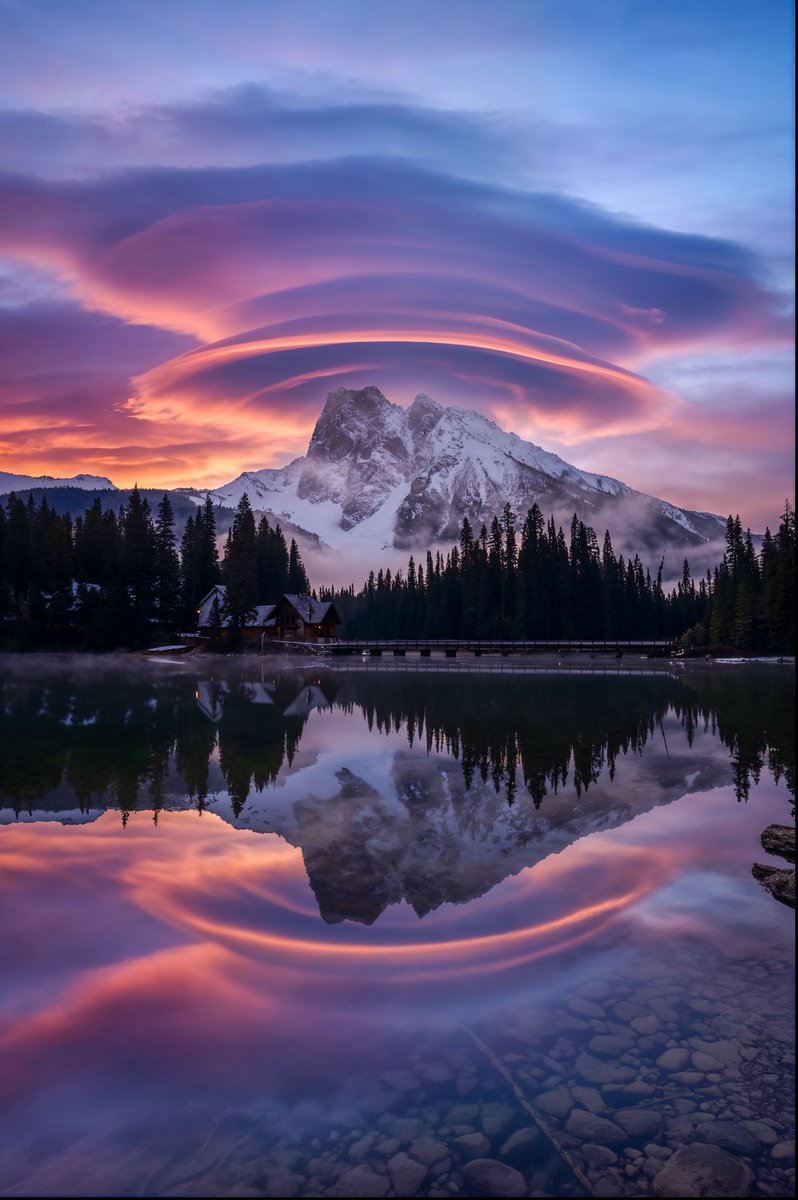 ✞ Daniel tweet media