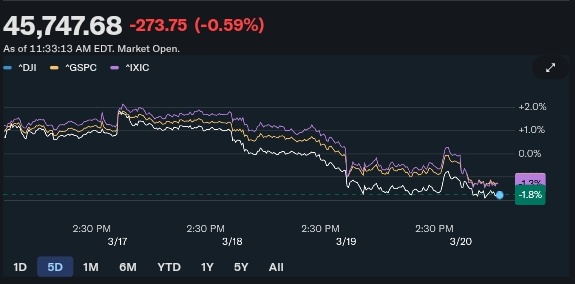 Squid Traders tweet media