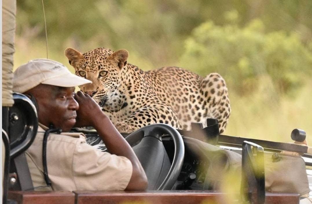 🇿🇦Xhosa Nostra tweet media