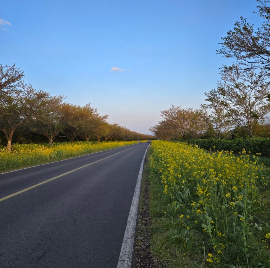 꿈꾸는제주중년BB tweet media