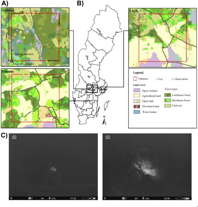 World Lagomorph Society tweet media