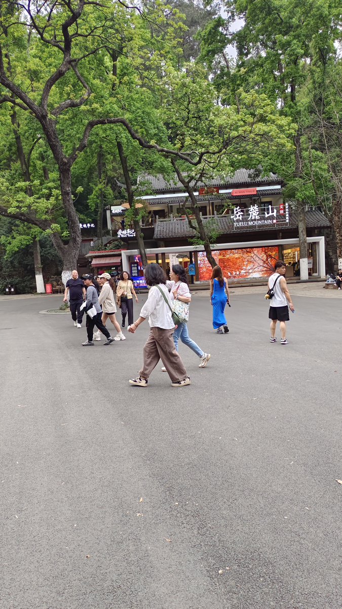 sefer ulger tweet media