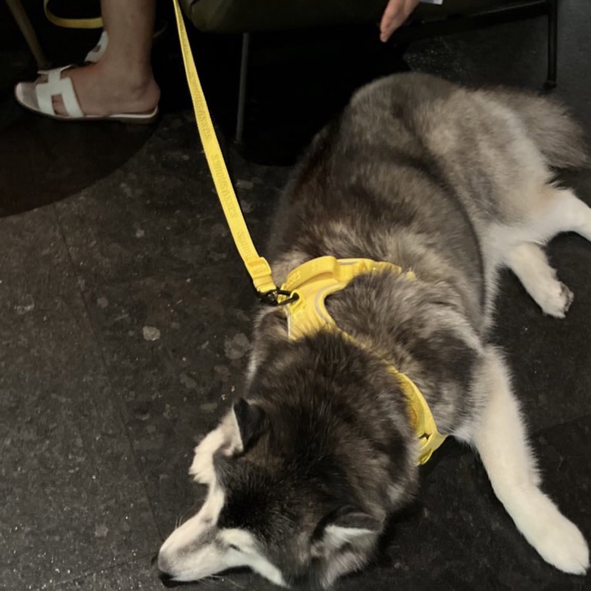 pp ❤︎ tweet media