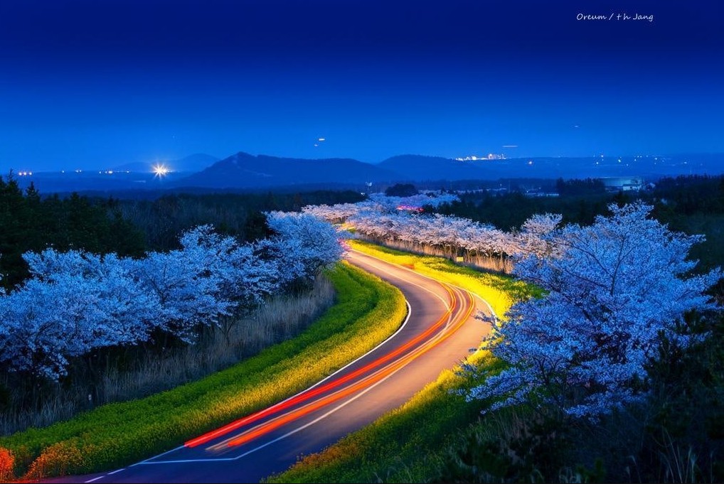 꿈꾸는제주중년BB tweet media