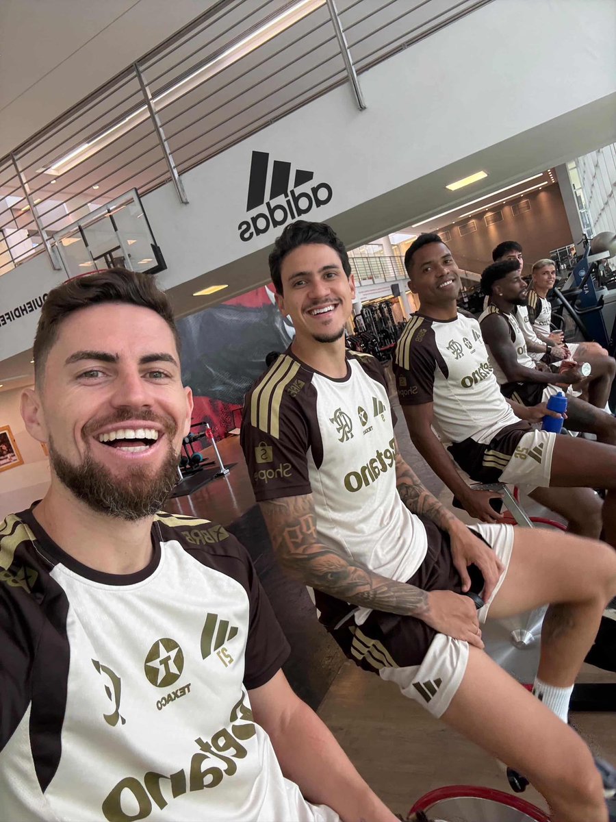 gabigolo tweet media