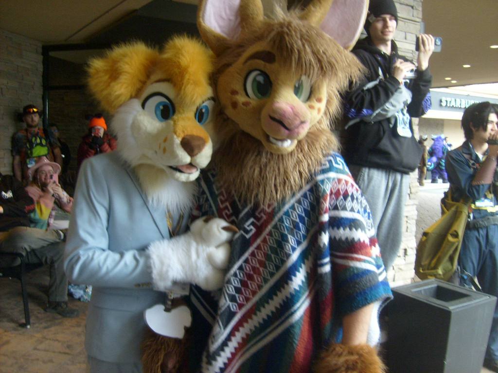 Carth the Llama tweet media