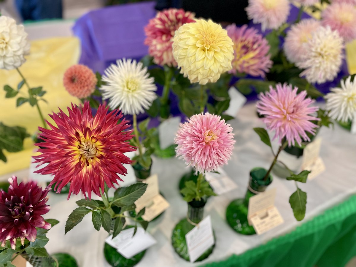 Missouri State Fair tweet media