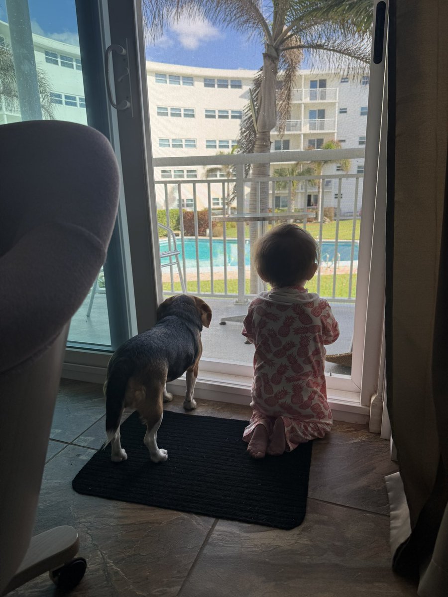 Piper 🌈 and Pumpkin 🐾 tweet media