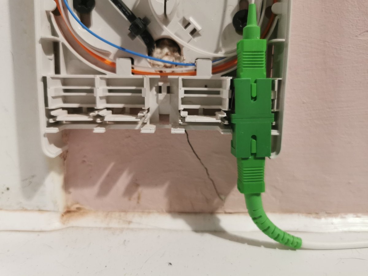 siobhan lauder tweet media