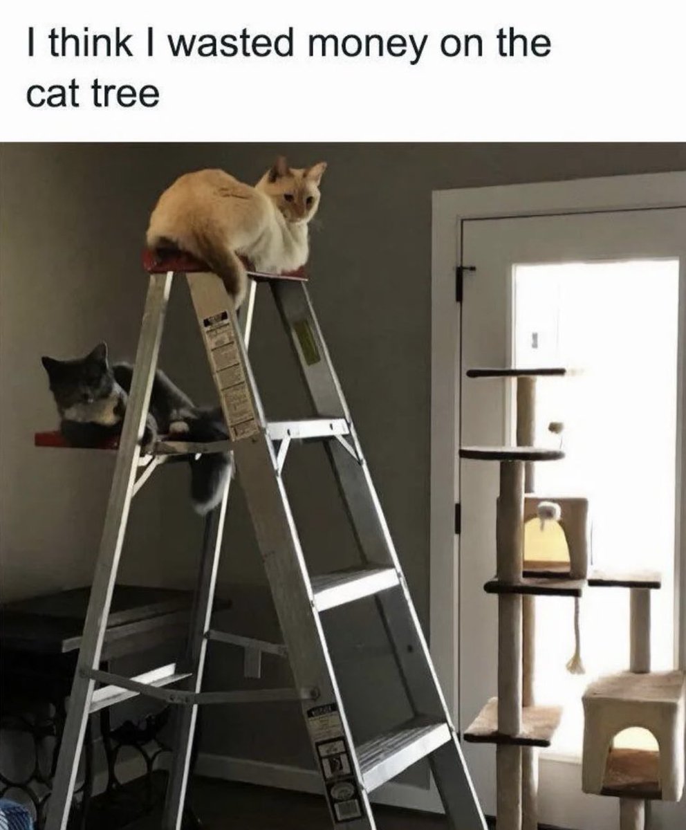 Antidepressant Content tweet media