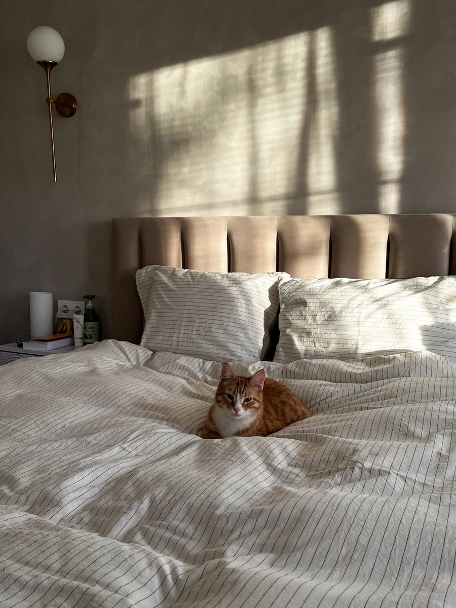 Чокопаинька tweet media