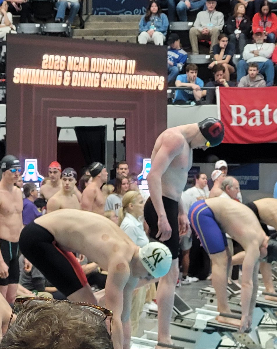 Todd Gibson tweet media