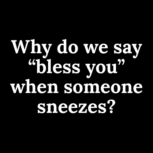 Side Notes tweet media