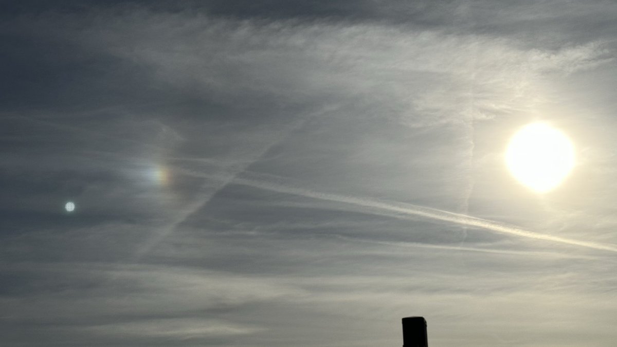 Helga van Leur ☀ tweet media