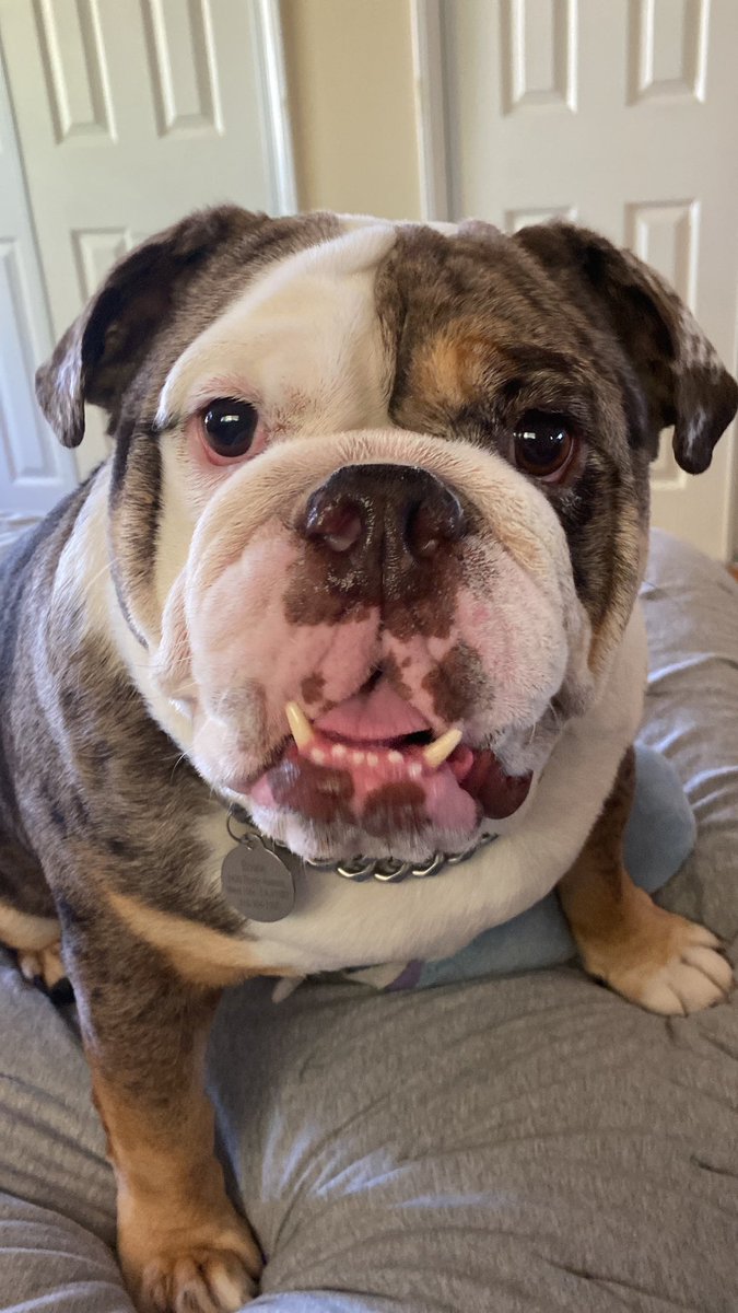 JustJamie tweet media