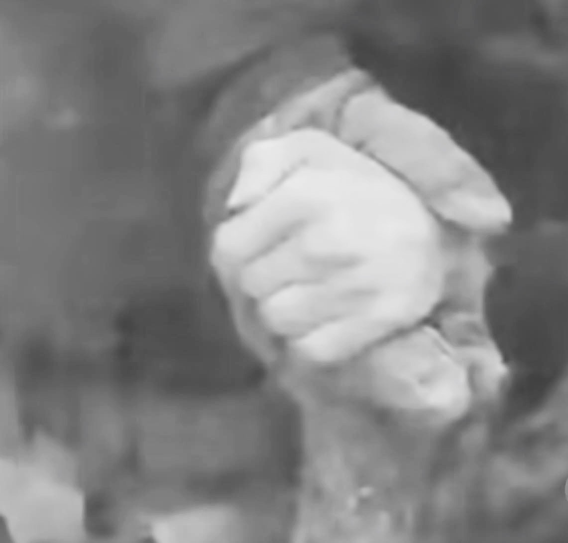 D.Radka, #NAFO 🇨🇿🤝🇺🇦 tweet media