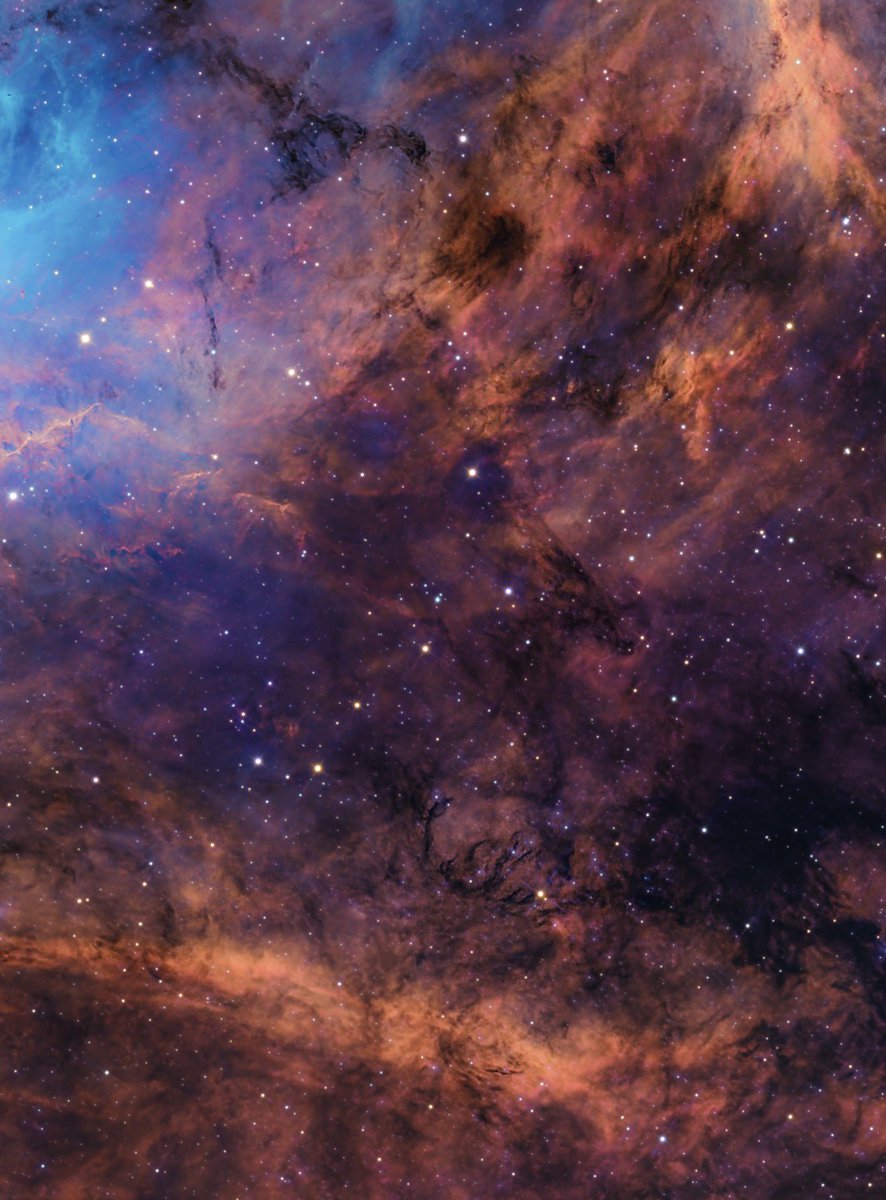 Andrew McCarthy tweet media