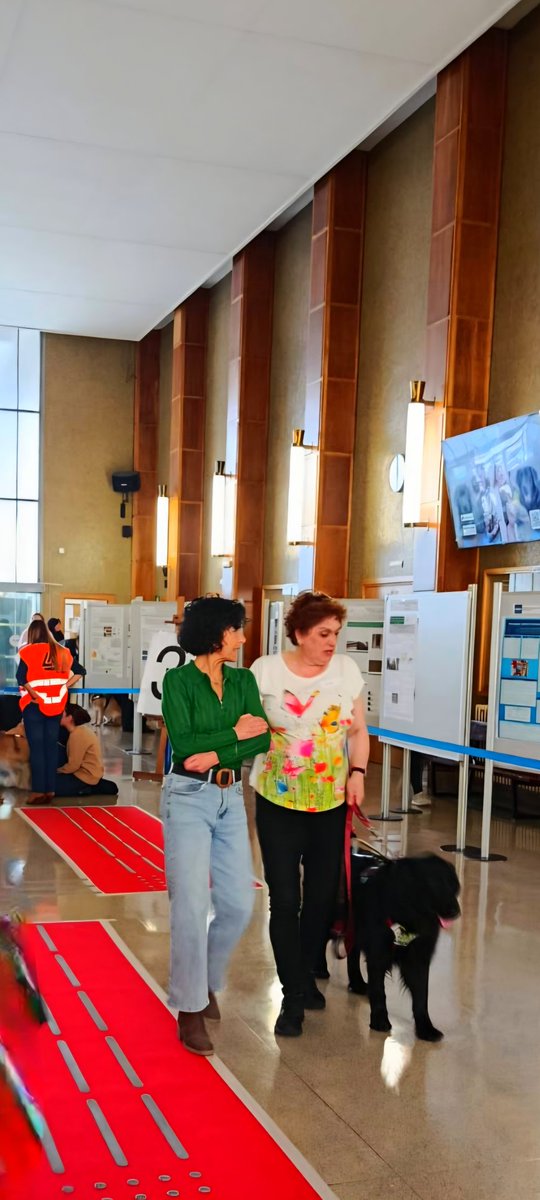 Ana Domingo tweet media