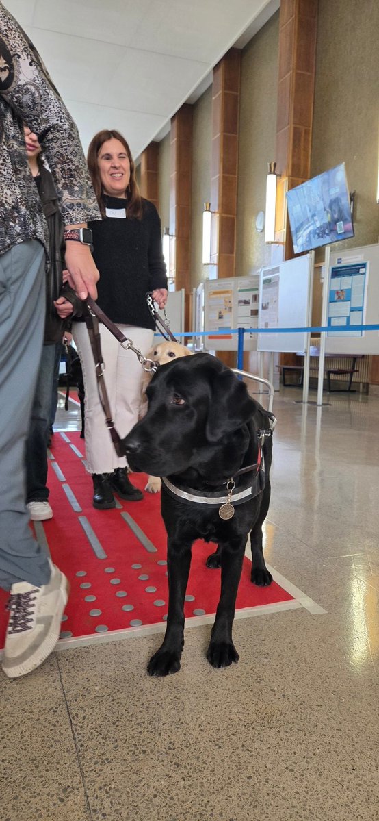 Ana Domingo tweet media