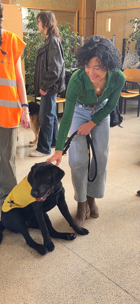 Ana Domingo tweet media