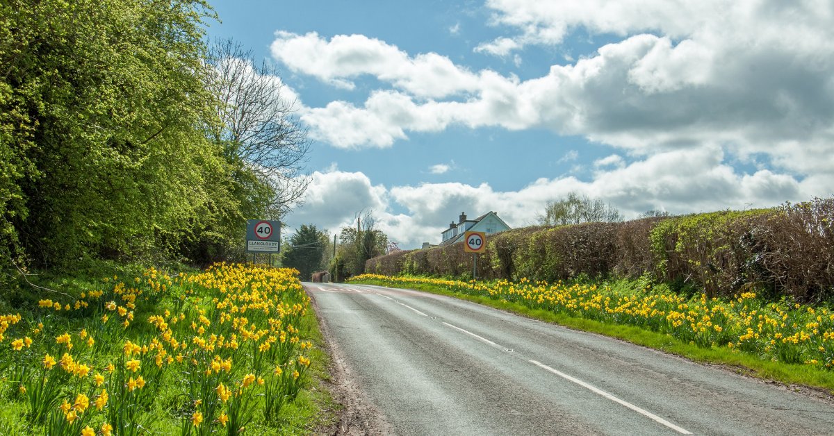 Collingwood Learners tweet media