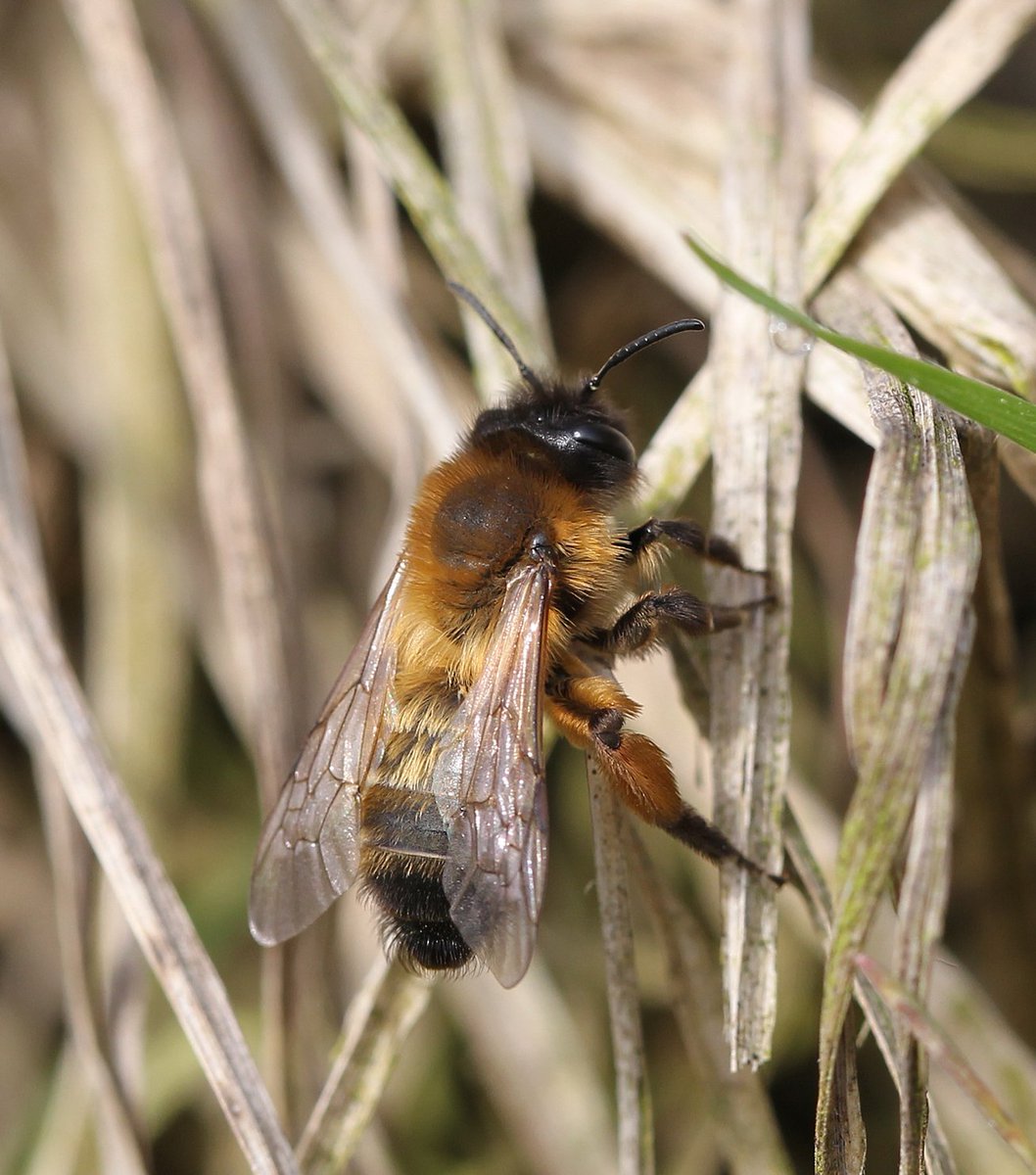 Dave Hutton tweet media