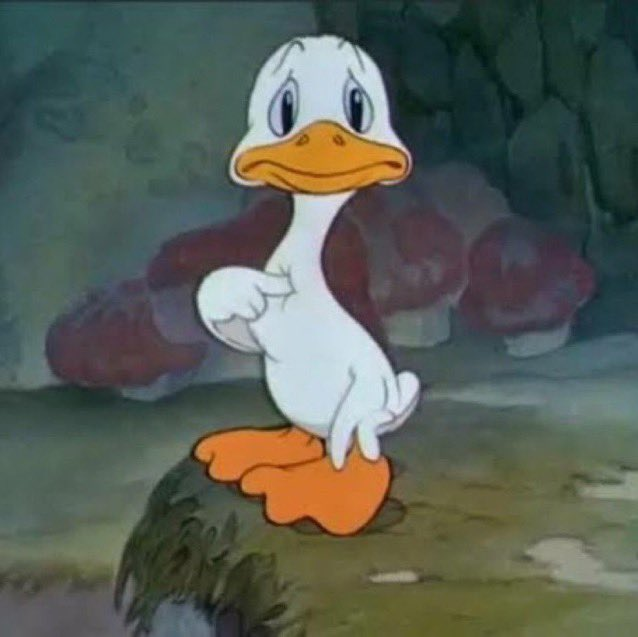 vinezada tweet media