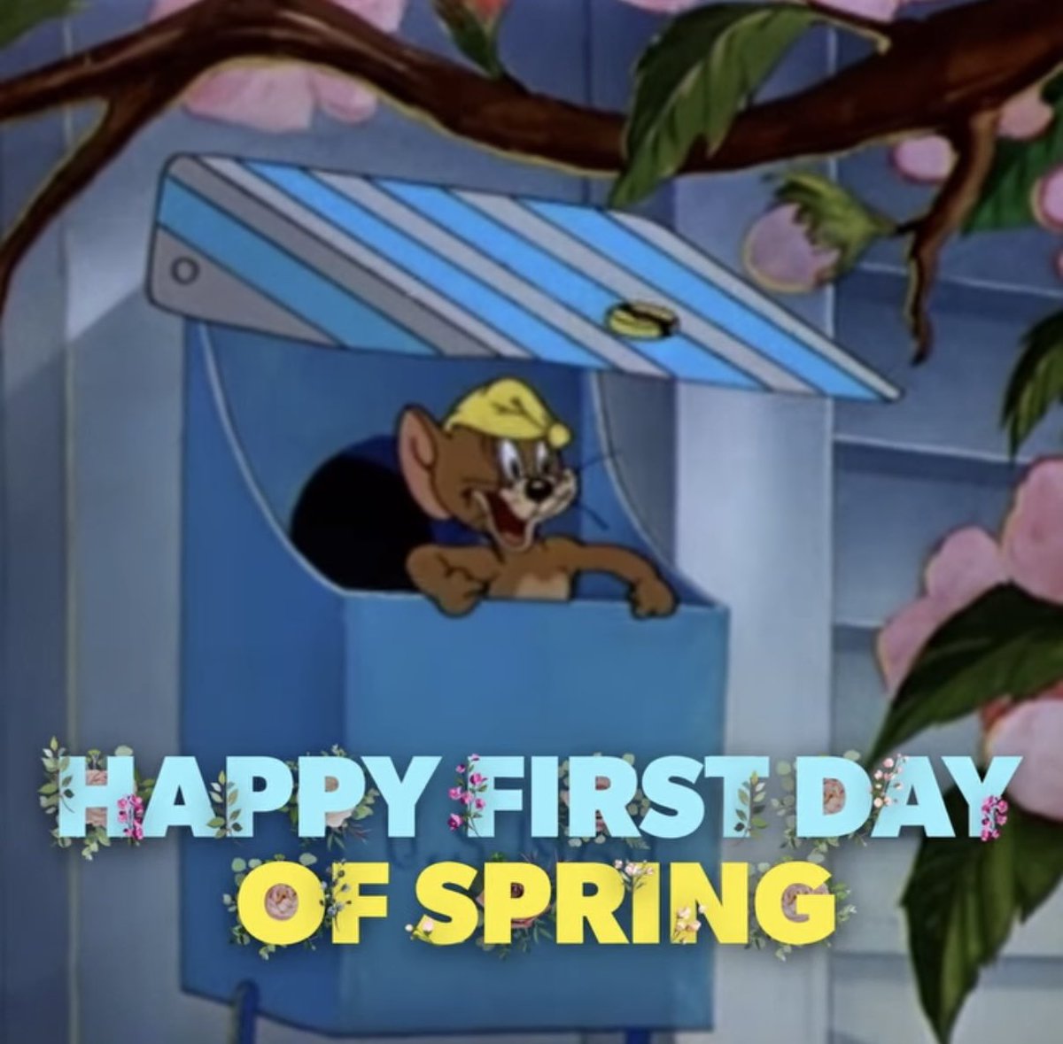 Raquelle Herbst 🧋🐈🦆 tweet media