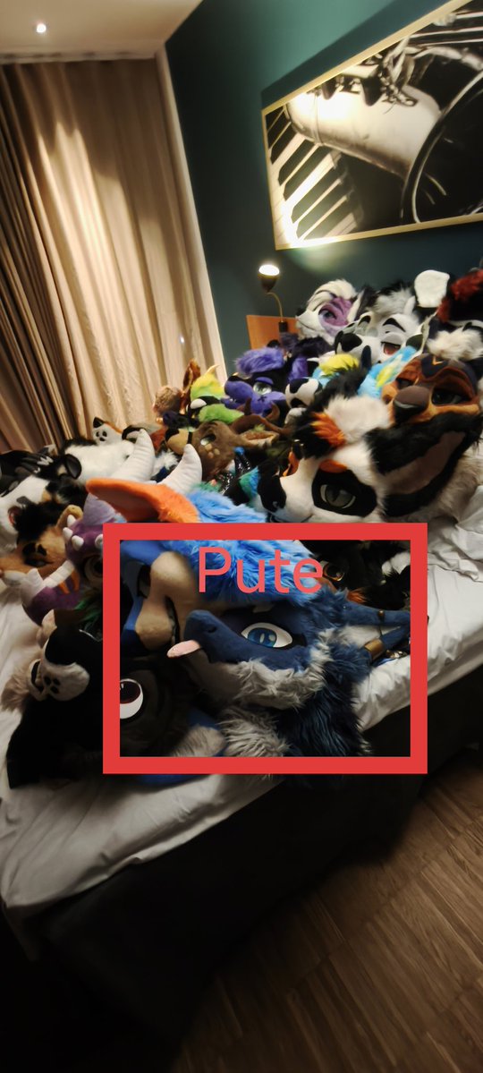 💙ColdTheFox 💙 🔜@NFC tweet media