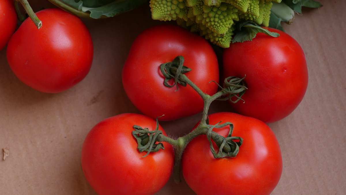 Haprojector tweet media