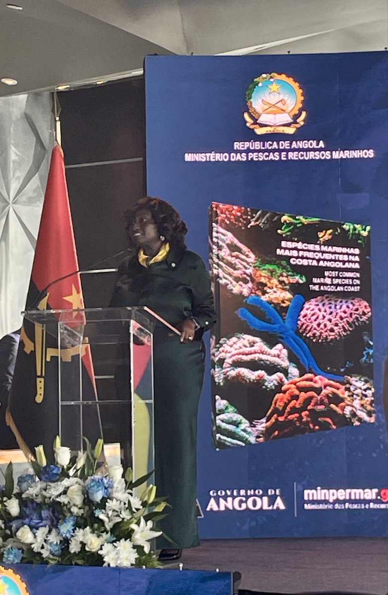 EmbEspAngola's tweet image. Hoje participamos na apresentação do livro Espécies marinhas mais frequentes na costa angolana. 🇪🇸 e as suas empresas cooperam com 🇦🇴 na gestão sustentável dos recursos marinhos e na promoção da #Blueeconomy, reforçando a parceria com Ministério das Pescas e Recursos Marinhos.