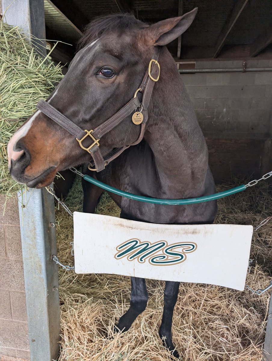 Hard Knocks Racing Partners tweet media