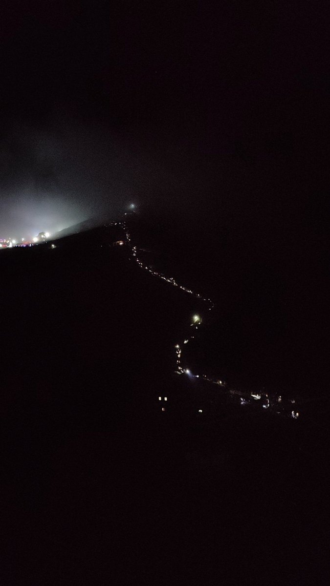 antonietta barbara tweet media