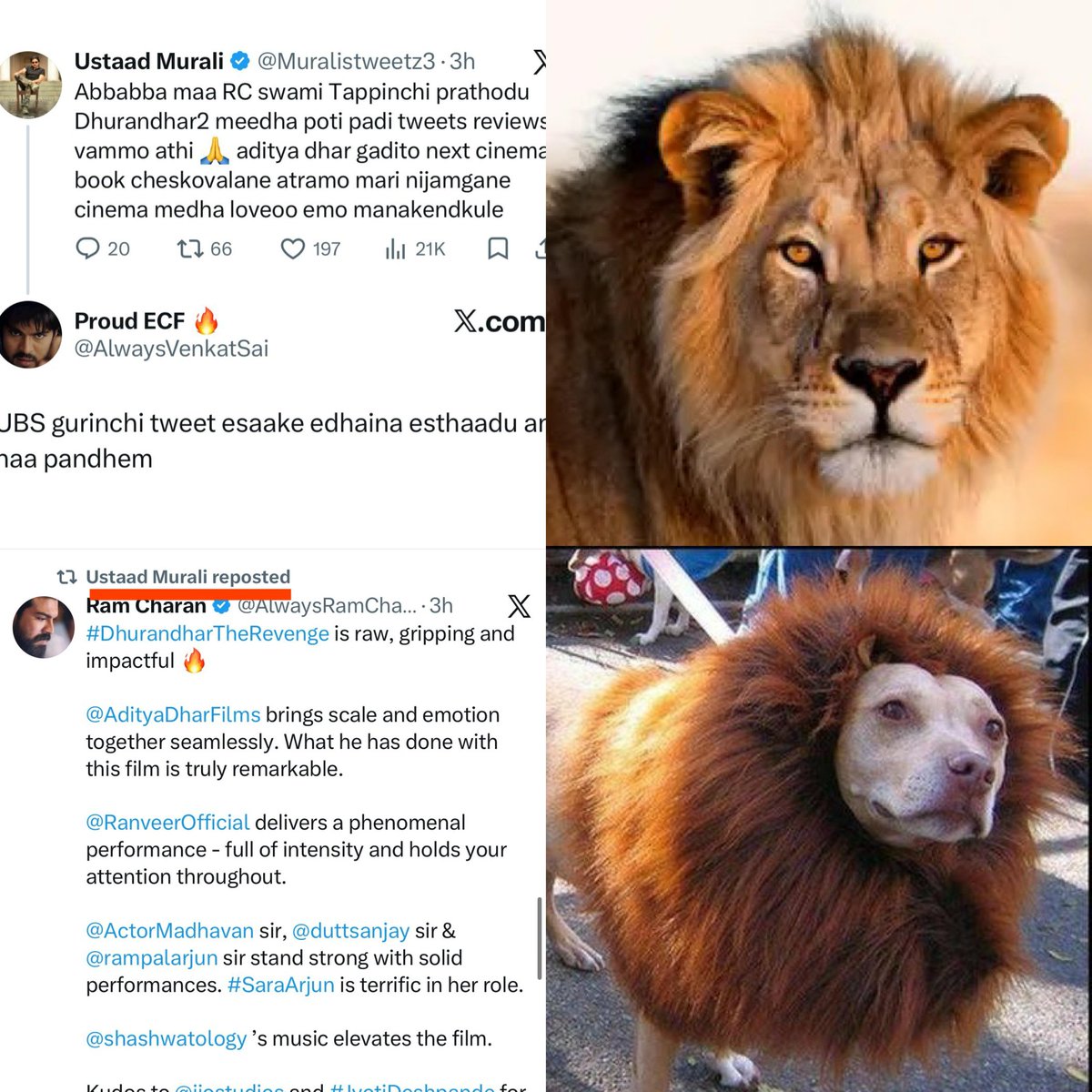 Out of Commentary tweet media