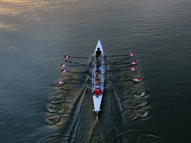 Reworked tweet media