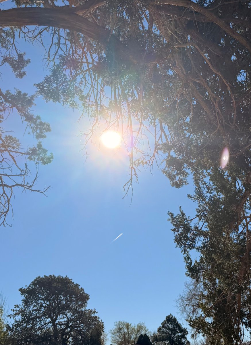 Paintress April 🎨 American Artist tweet media