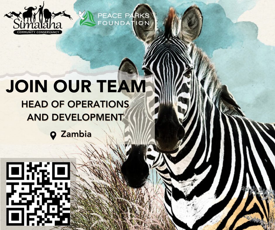 Peace_Parks's tweet photo. Simalaha Community Conservancy has two new exciting positions available. Scan the QR code to apply.
#ConservationCareers #PeaceParksFoundation #NatureWithoutBorders https://t.co/bRFh84KZEz