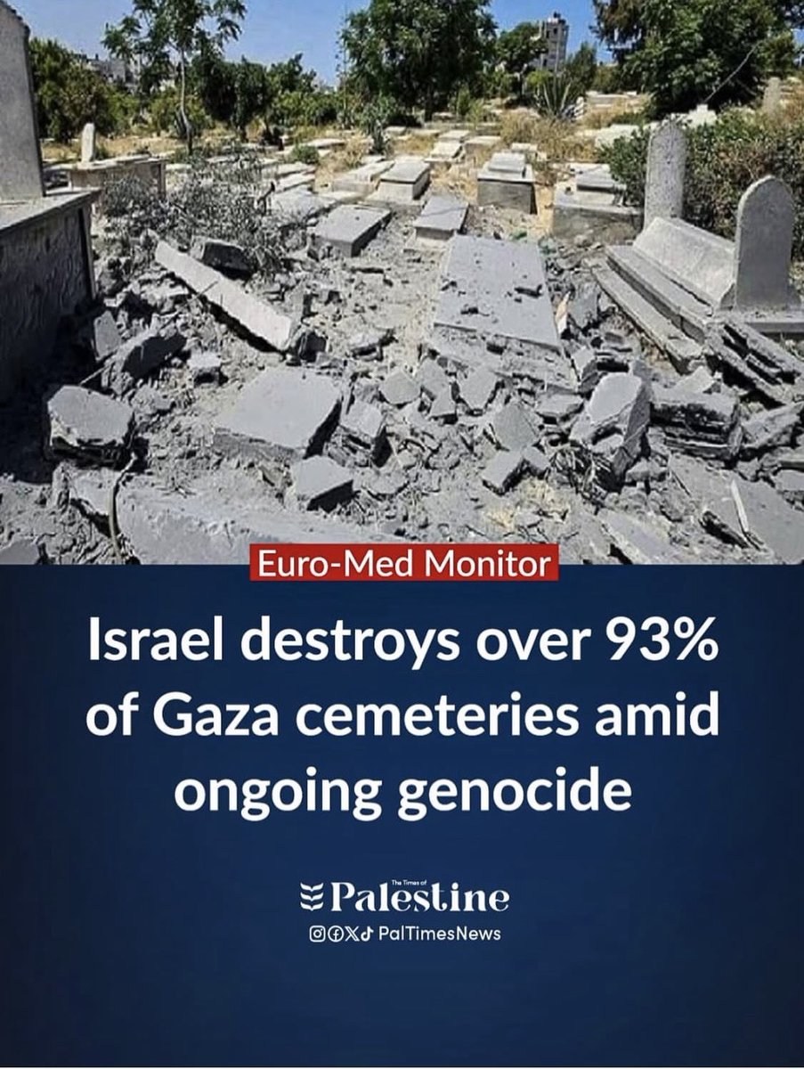 Kass Kille tweet media