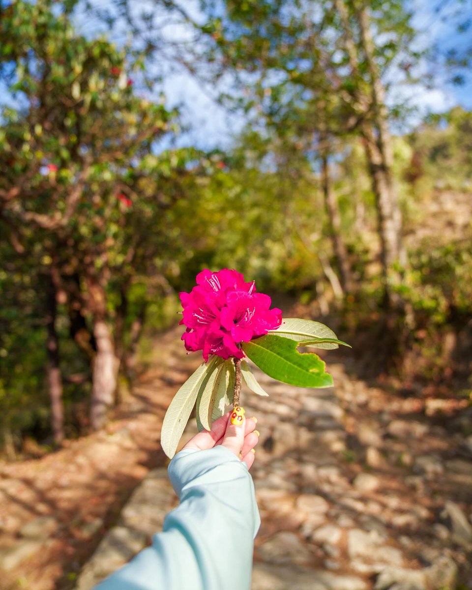 Incredible!ndia tweet media