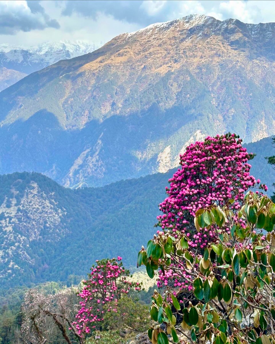 Incredible!ndia tweet media