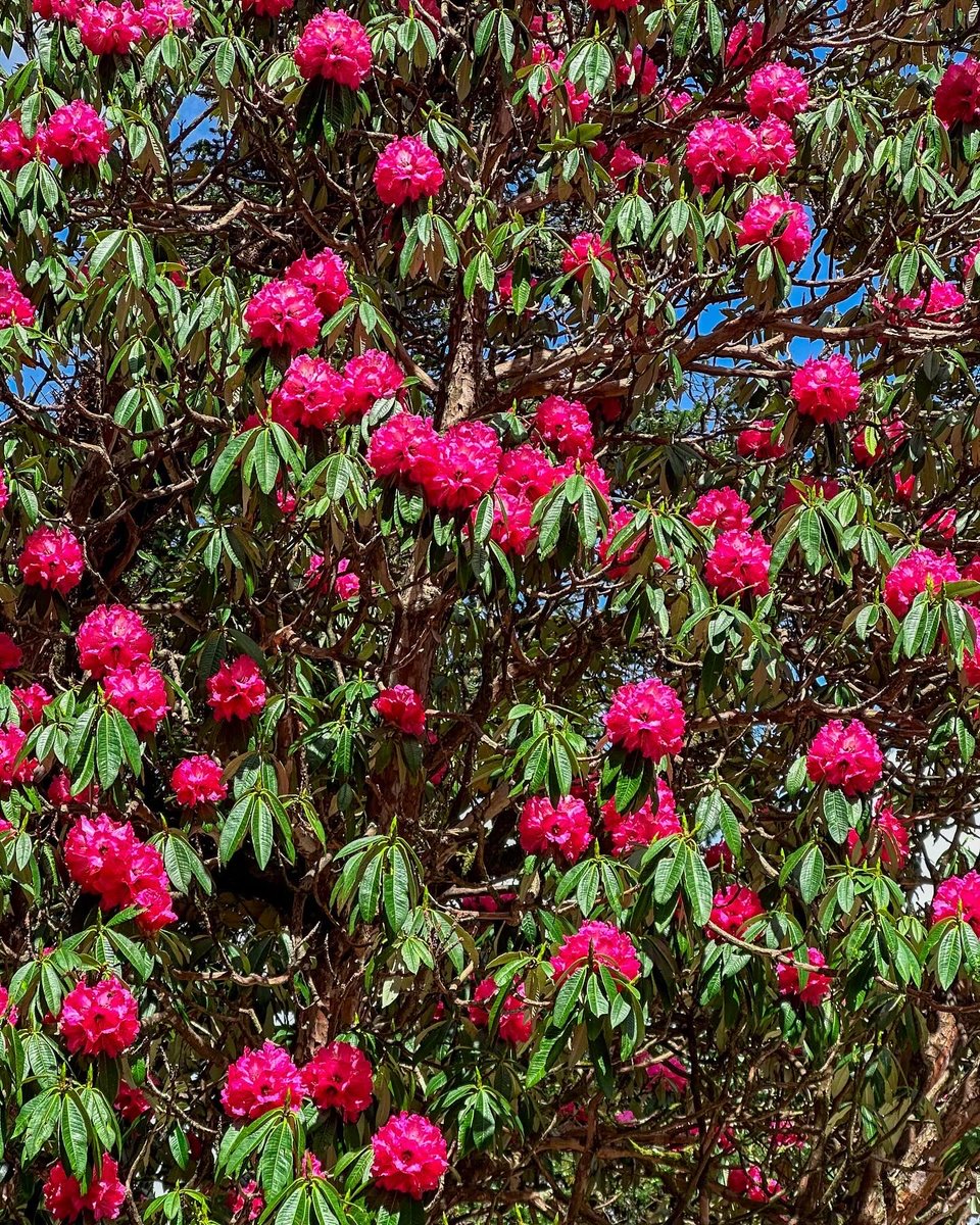 Incredible!ndia tweet media