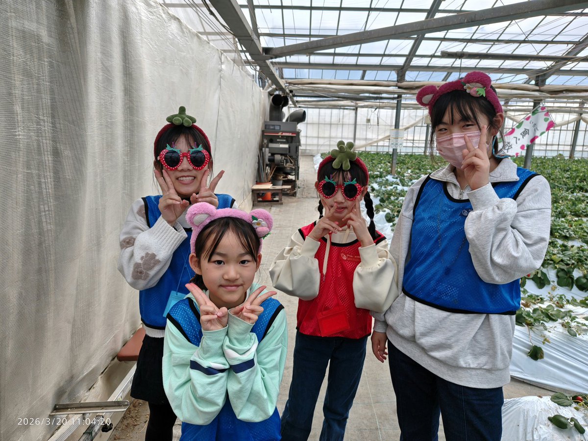 sainokuni_cs's tweet photo. 彩の国しーずです。

春ですね！

しーずの春きゃんは春を先取りします🤗

味覚狩り（いちご満喫）

早咲き芝桜散策

社会教育活動がメインの自然学校ならではのまち歩き

#まち歩き
#まなび
#社会教育
#支える優しさ
#自然学校 https://t.co/dLUnfMumLc