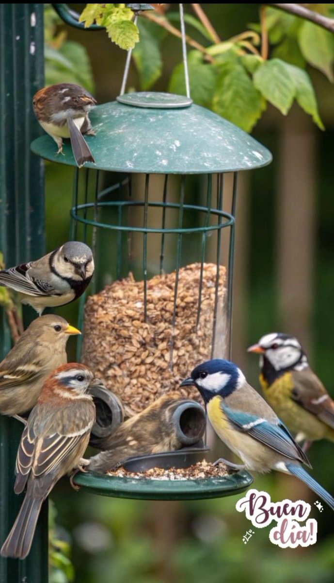 Julie Parker tweet media